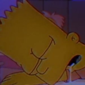 Meet your Posher, Ariel